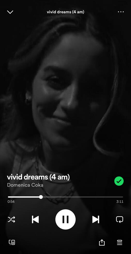 vivid dreams - Canvas